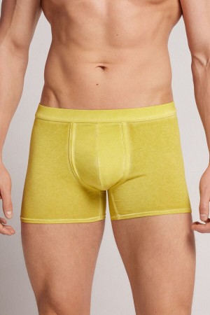 Boxer Intimissimi Natural Fresh Cotton Barbati Galbeni | ZMEFLG-970