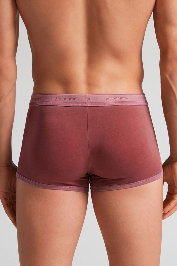 Boxer Intimissimi Natural Fresh Cotton Barbati Visinii | BEQTOU-356